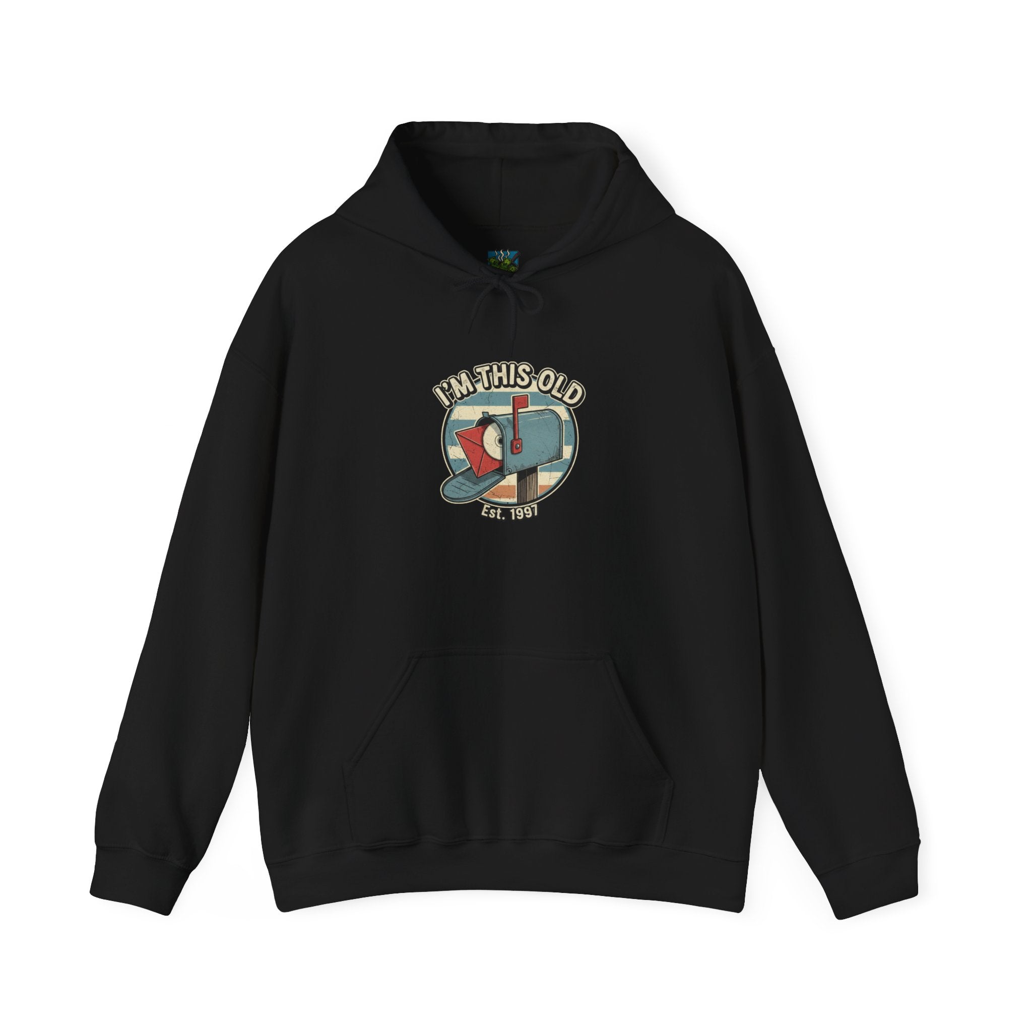 Hoodie — "I'm This Old" DVD in Mailbox Retro Pullover Hoodie